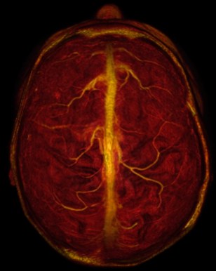 Captura de Tela 2019-10-10 às 12.20.57